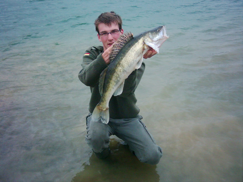 Köderfisch-Zander beim Nachtangeln aus dem Rathsee