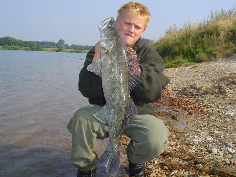 Zander beim Köderfischangeln im Rathsee (Bentfeld)