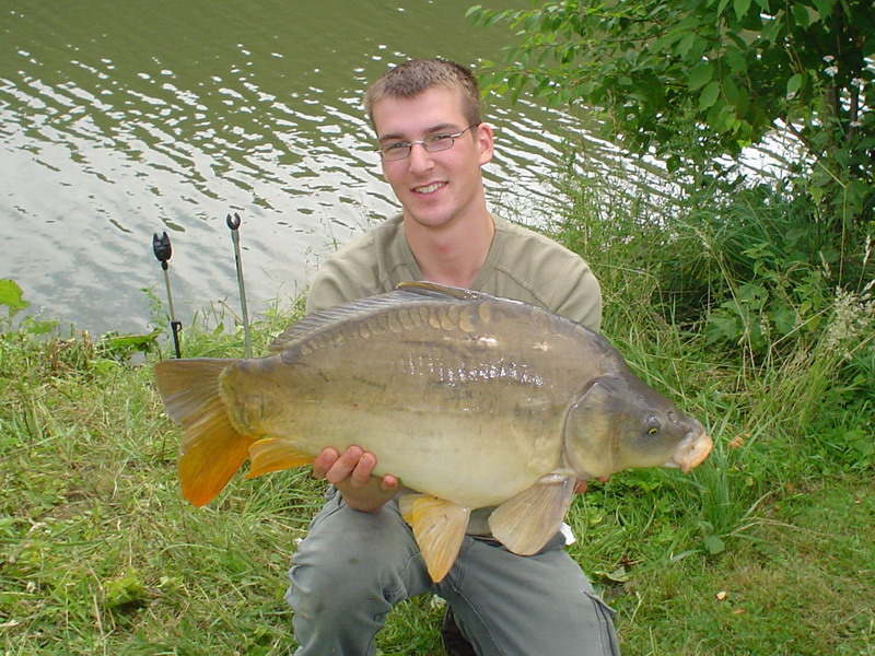 Kräftiger Spiegelkarpfen aus dem Nethestausee