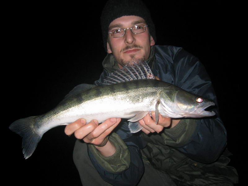 Zander bei Nacht aus dem Stadtteich Bad Driburg