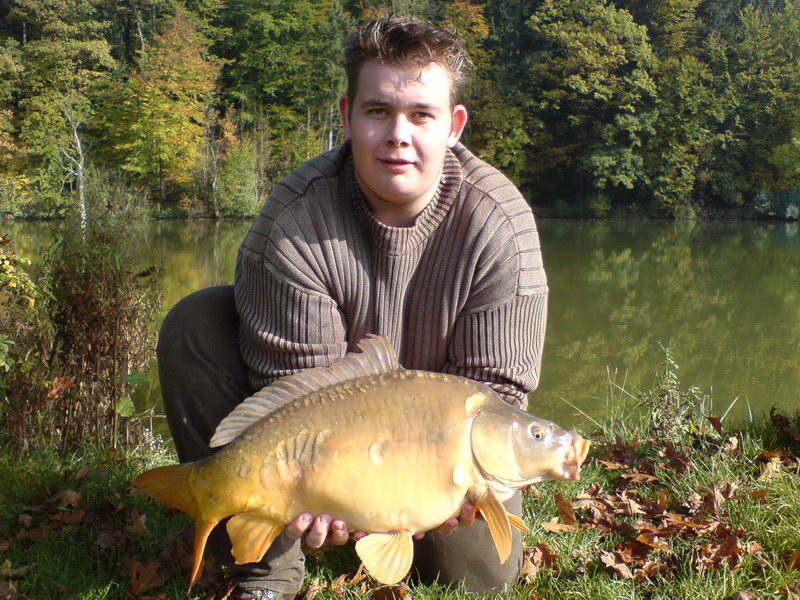 Spiegelkarpfen im Herbst aus dem Nethestausee