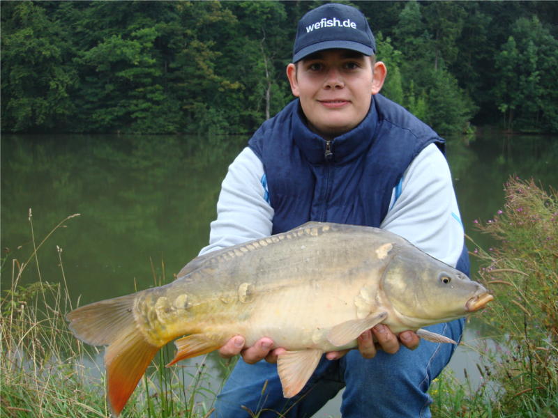 Kleiner Spiegelkarpfen aus dem Nethestausee