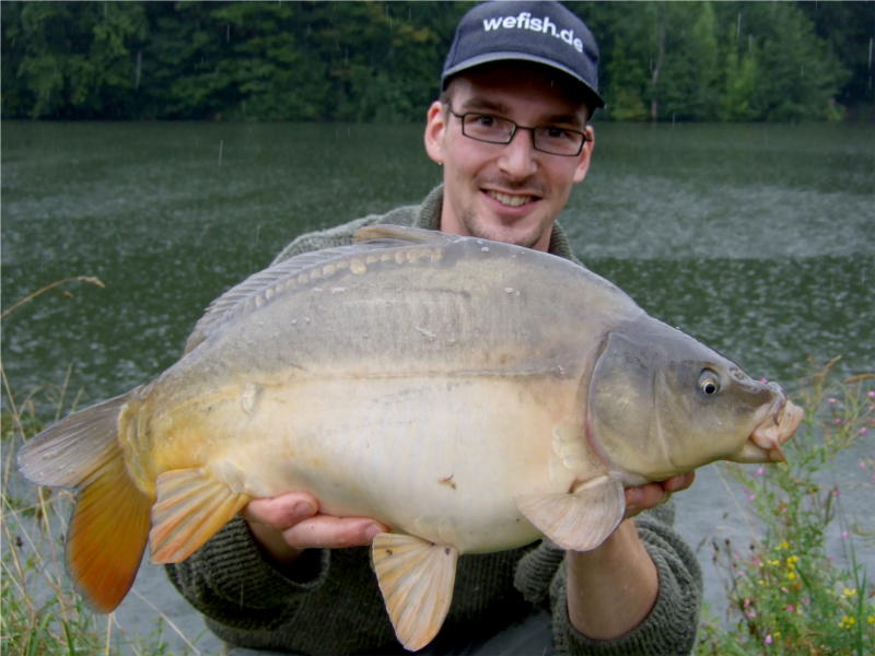 10 Pfund Spiegelkarpfen im Regen aus dem Nethestausee