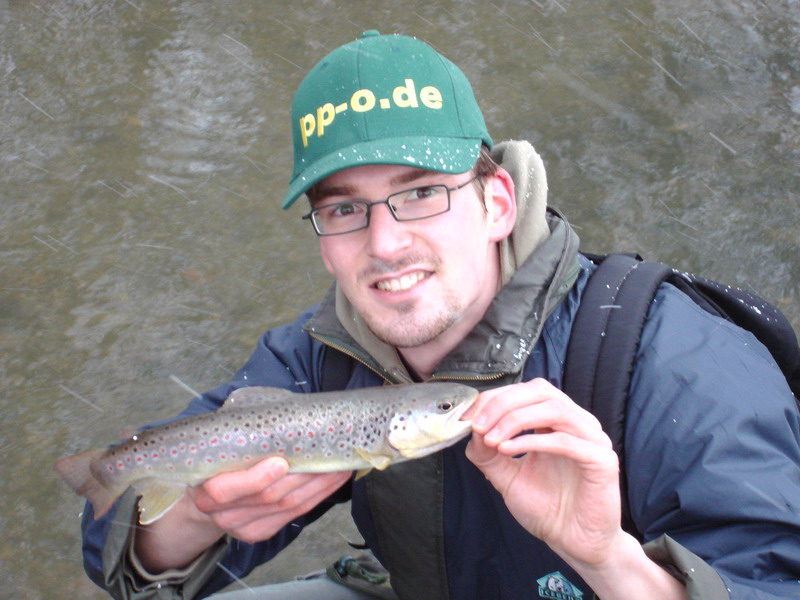 Bachforelle beim Angeln im Fluss Aa bei Bad Driburg