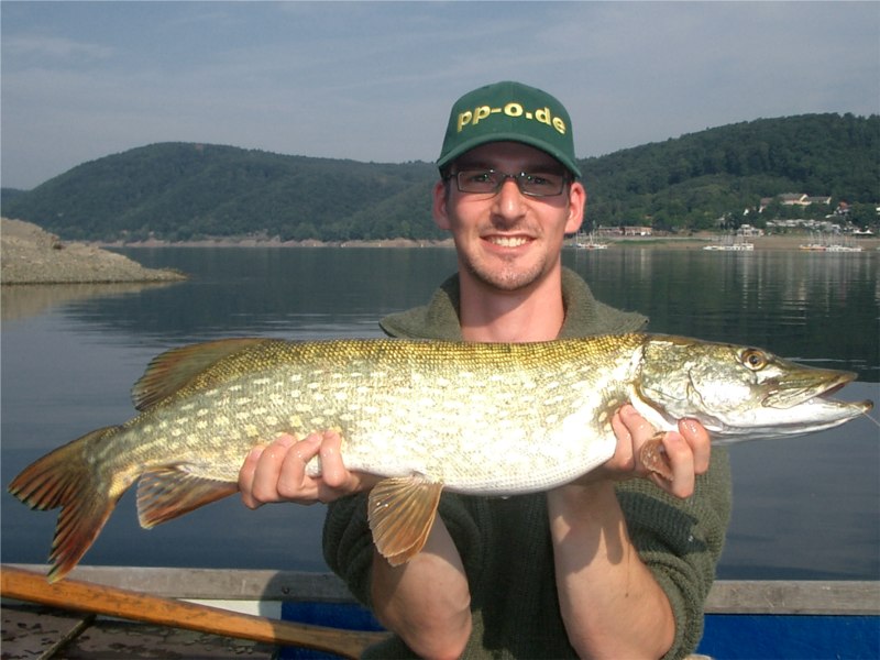 Hecht beim Schleppangeln (Schleppen) am Edersee