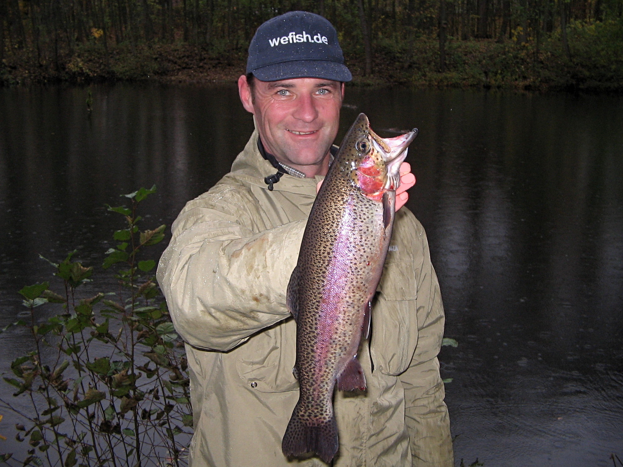 Regenbogenforelle (Oncorhynchus mykiss) beim Angeln im Stadtteich Bad Driburg