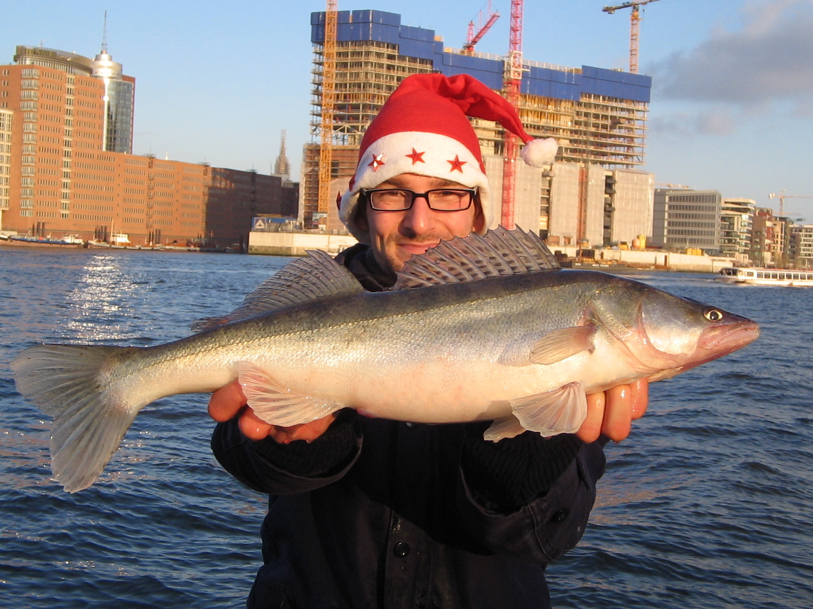 Zander beim Angeln im Winter vor der Hamburger Elbphilharmonie