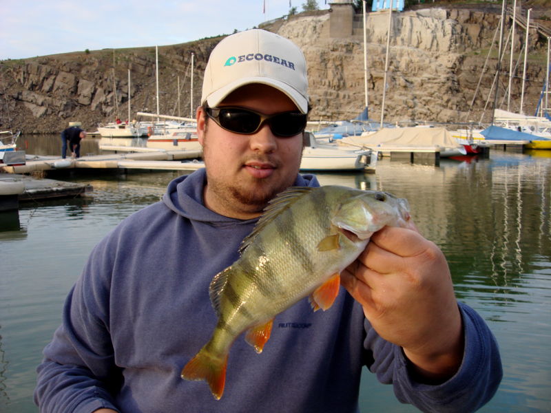 Guide Marcel mit schönem Barsch beim Angeln aus dem Edersee