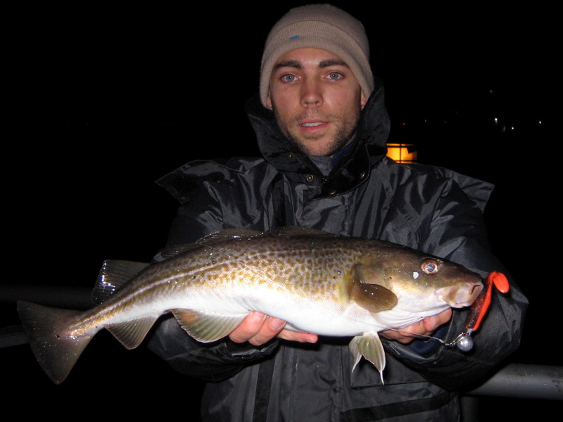 Dorsch auf Quantum Stratocaster Shad aus der Ostsee bei Kiel