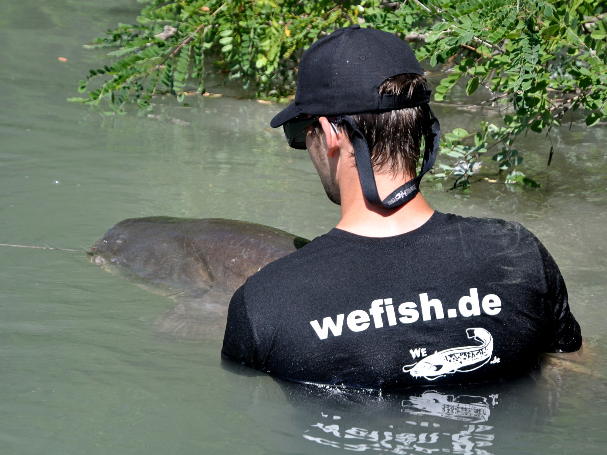 Catch and Release eines Großwallers aus Südfrankreich