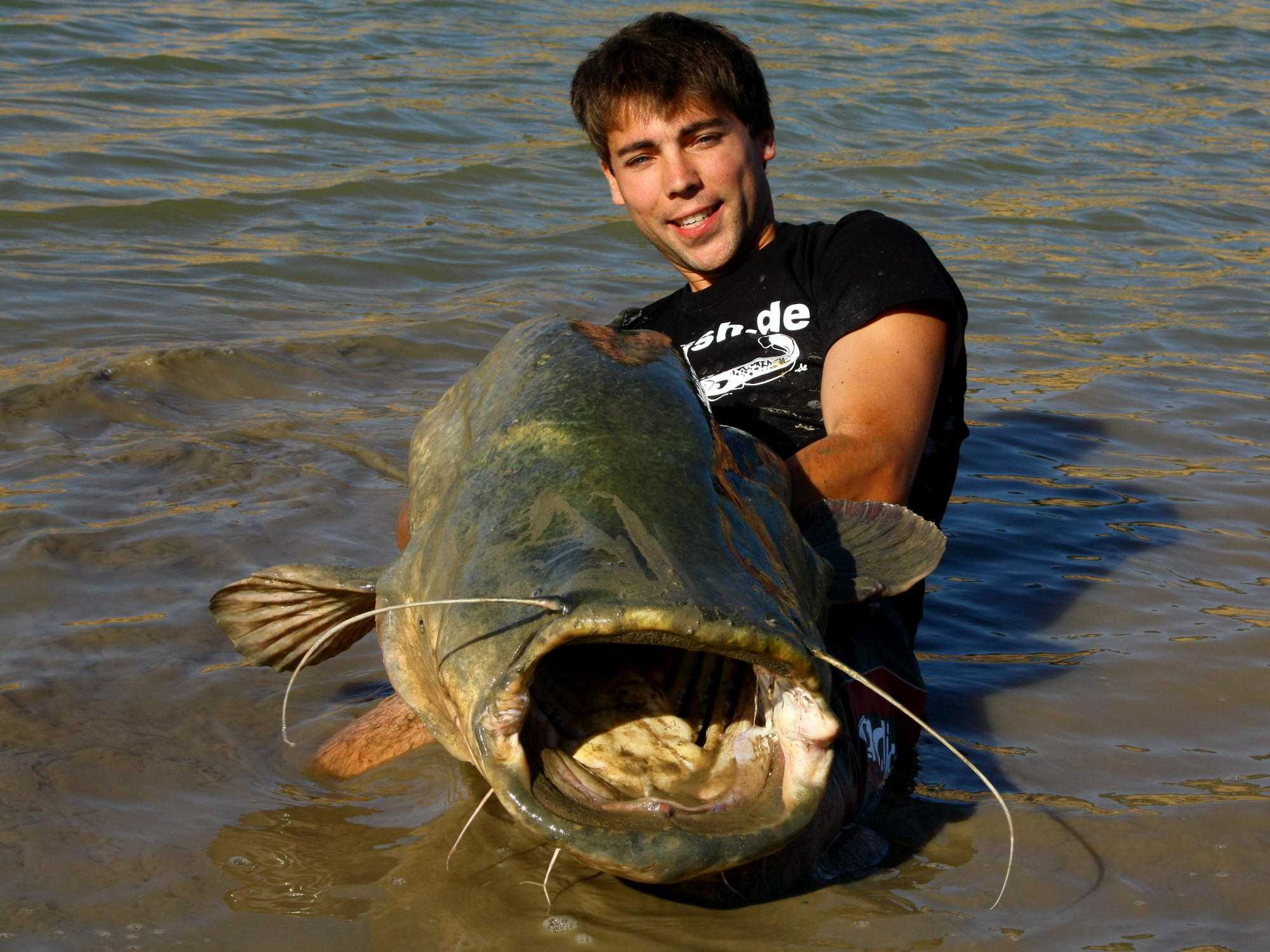 Dicker spanischer Herbstwaller aus dem Embalse de Mequinenza