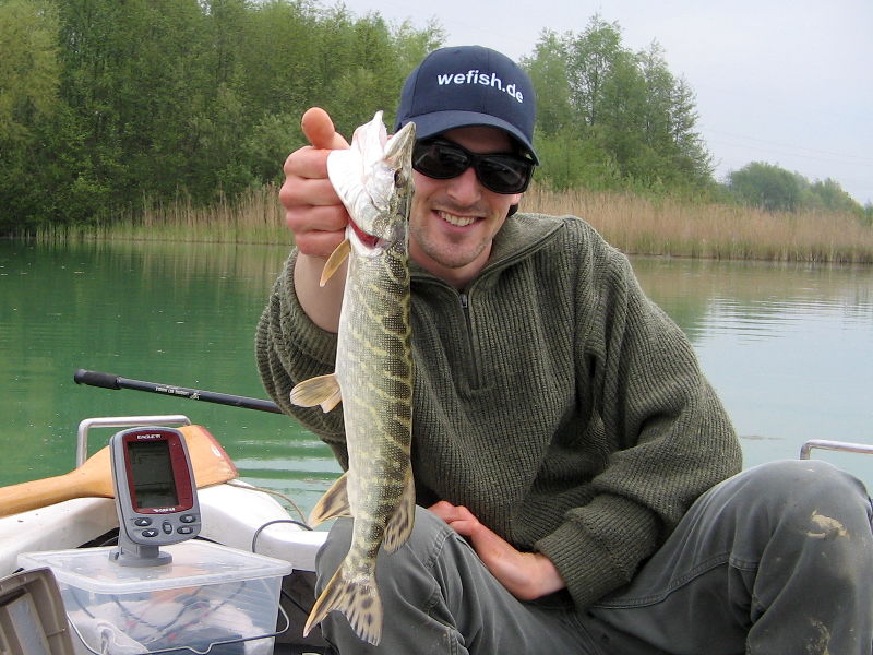 Kleiner Hecht beim Angeln im Nesthauser See