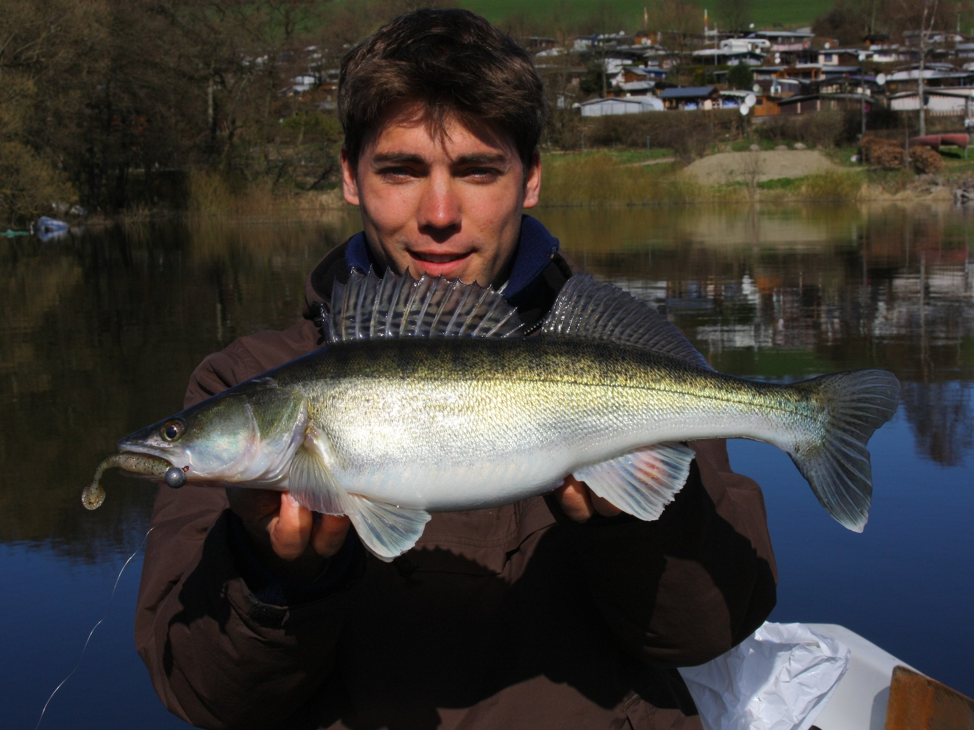 Zander auf kleinen Gummifisch beim Angeln im Diemelsee