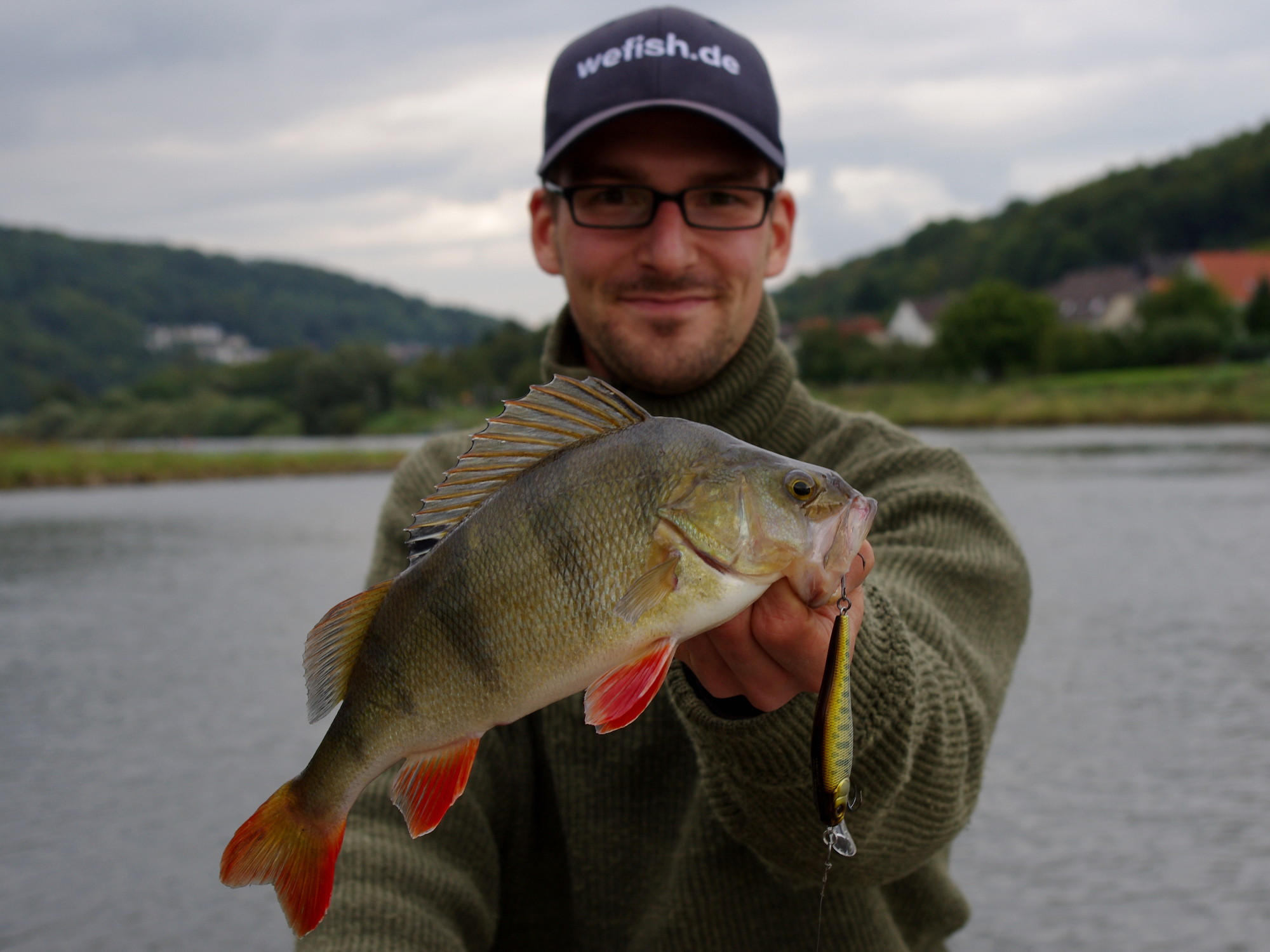 Schöner Barsch auf Megabass Trick Darter X-80 aus der Weser