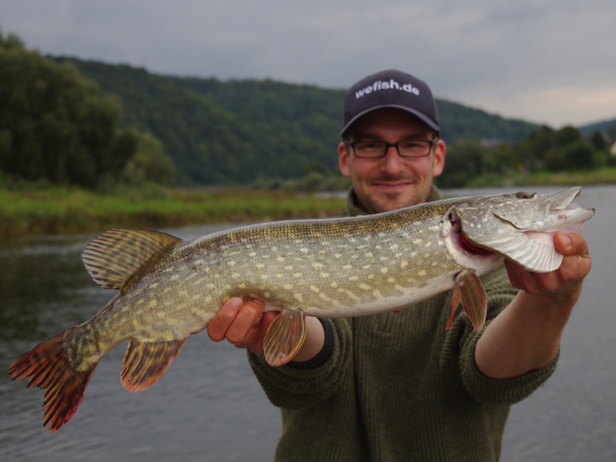 Hecht als Beifang beim Barschfischen aus der Weser