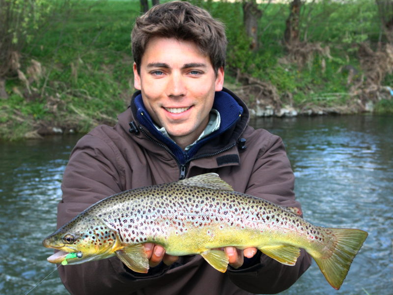 Große Bachforelle (Salmo trutta fario) aus der Leine bei Göttingen