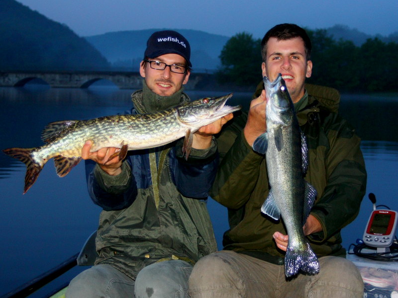 Raubfisch Doppelfang (Zander und Hecht) beim Angeln im Diemelsee