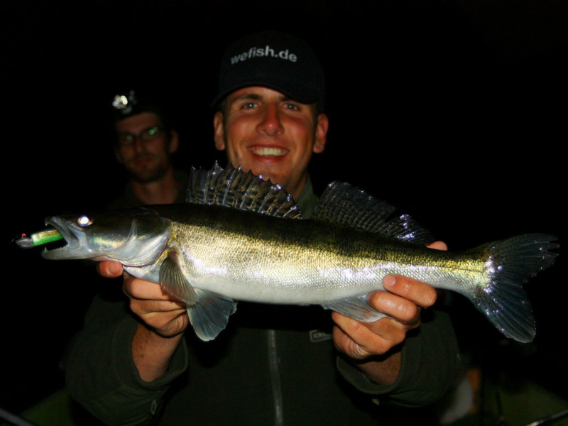 Zander auf 3,25'' Lunker City Shaker aus dem Diemelsee