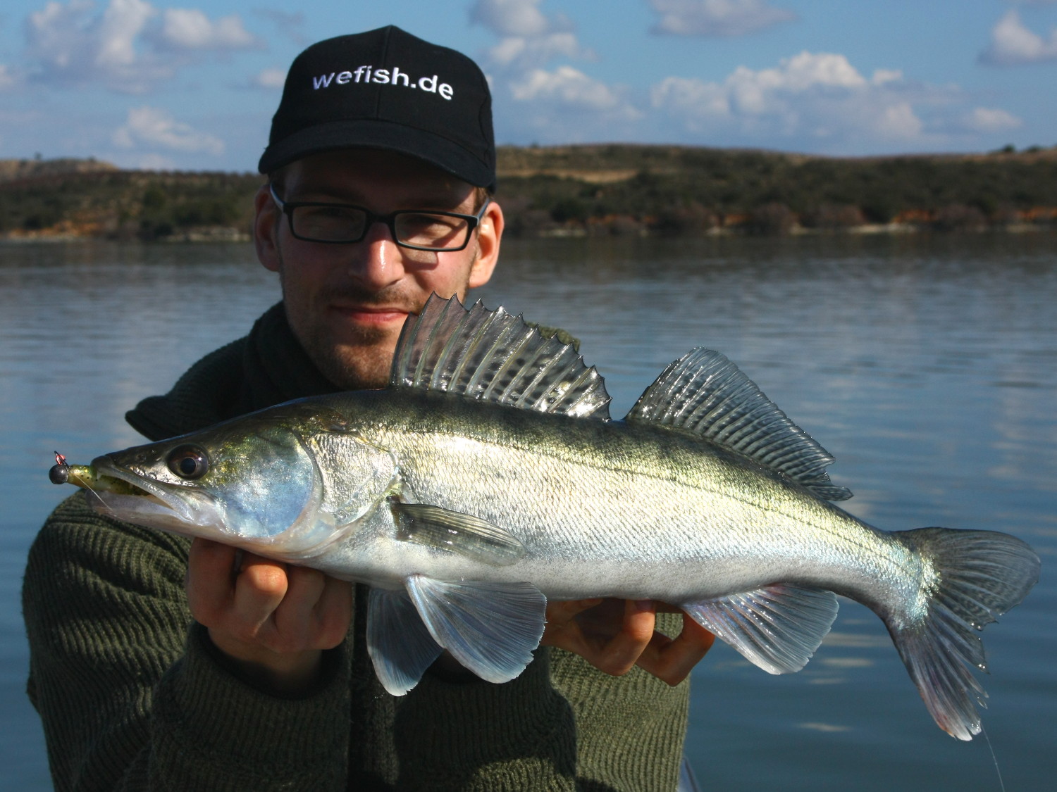 Schöner Zander auf Relax Kopyto aus dem Embalse de Mequinenza