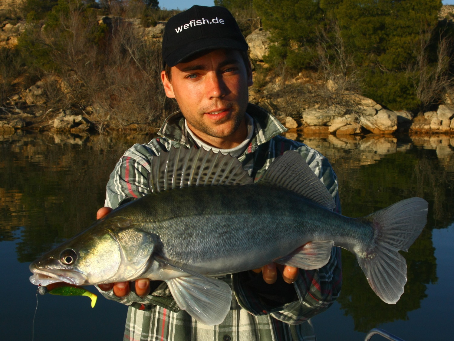 65cm Zander im Sonnenuntergang aus dem Embalse de Mequinenza