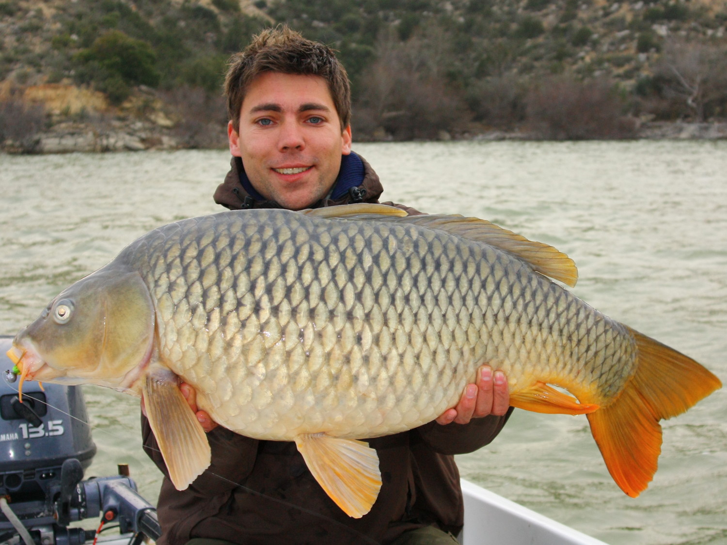 Kapitaler Schuppenkarpfen aus dem Embalse de Mequinenza