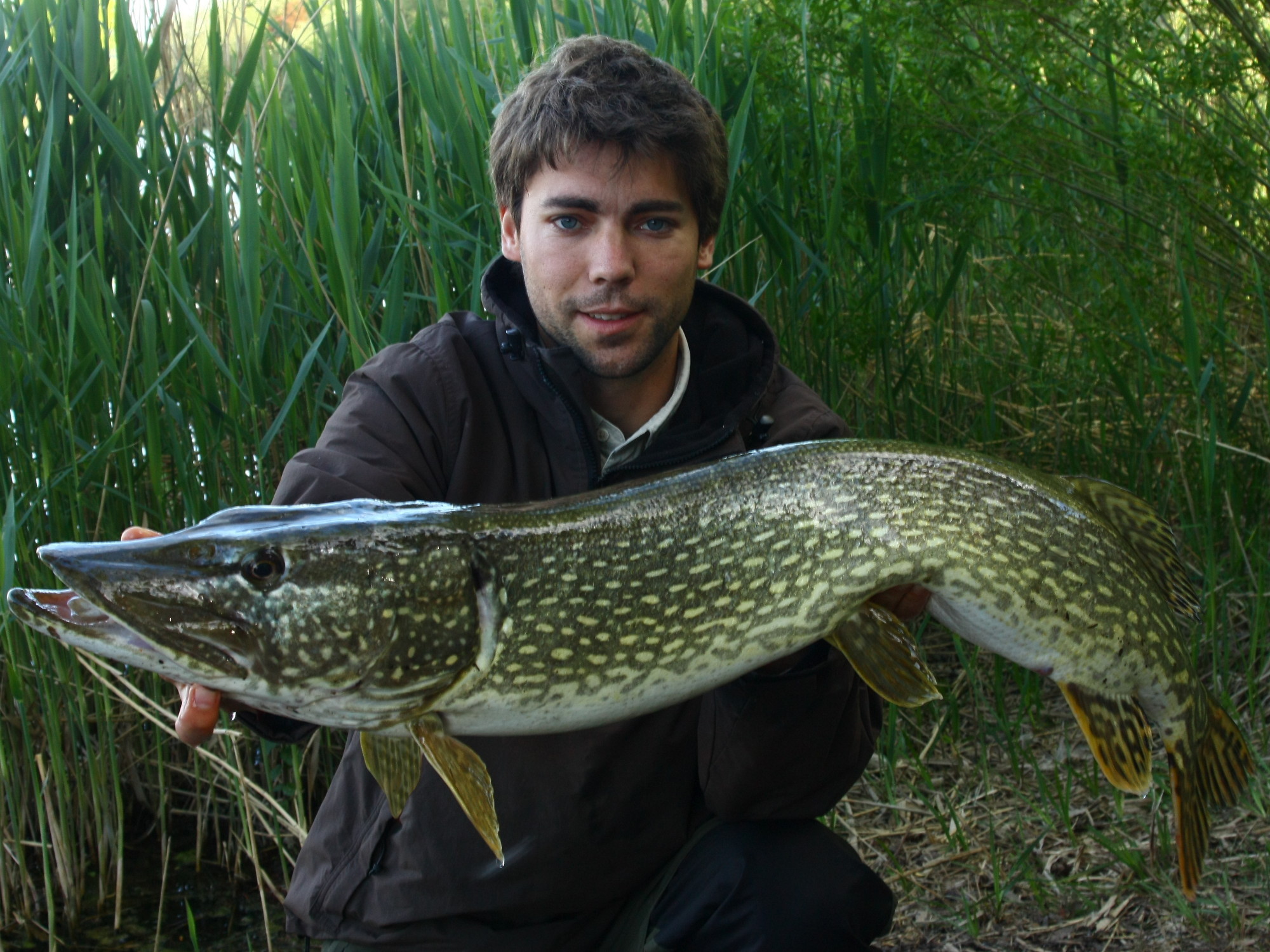 Starker 110 cm Hecht beim Angeln mit der Castaic Sardine