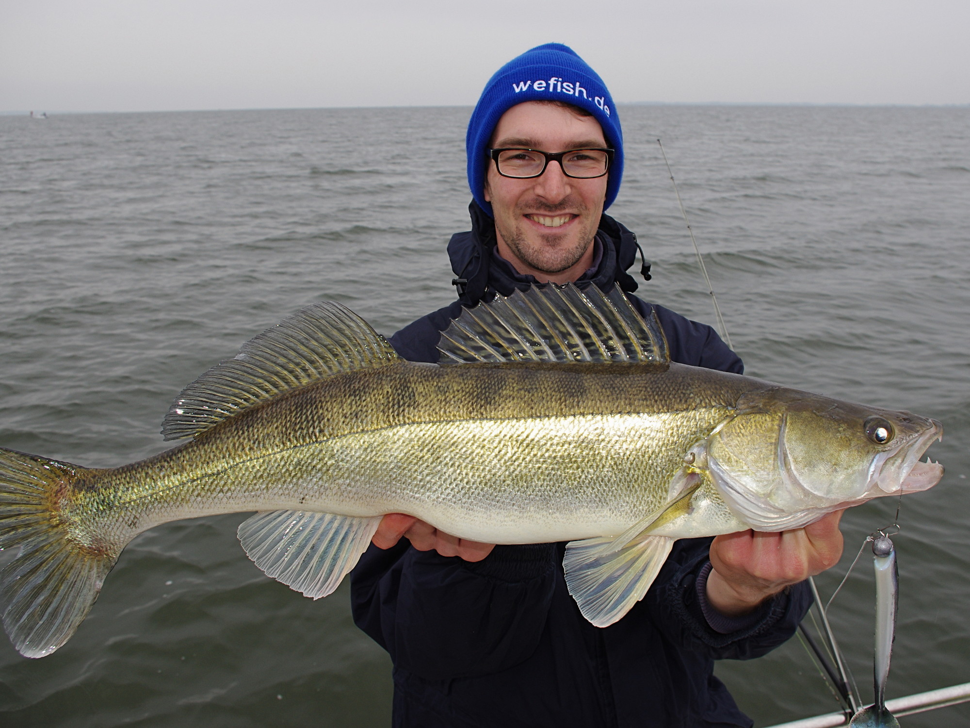 Zander beim Raubfischangeln mit Gummifisch an den Bodden bei Rügen.