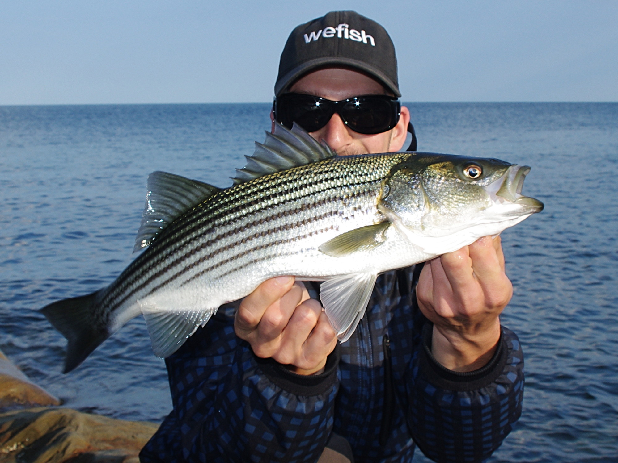 Atlantic Striped Bass beim Angeln in Kanada, Nova Scotia