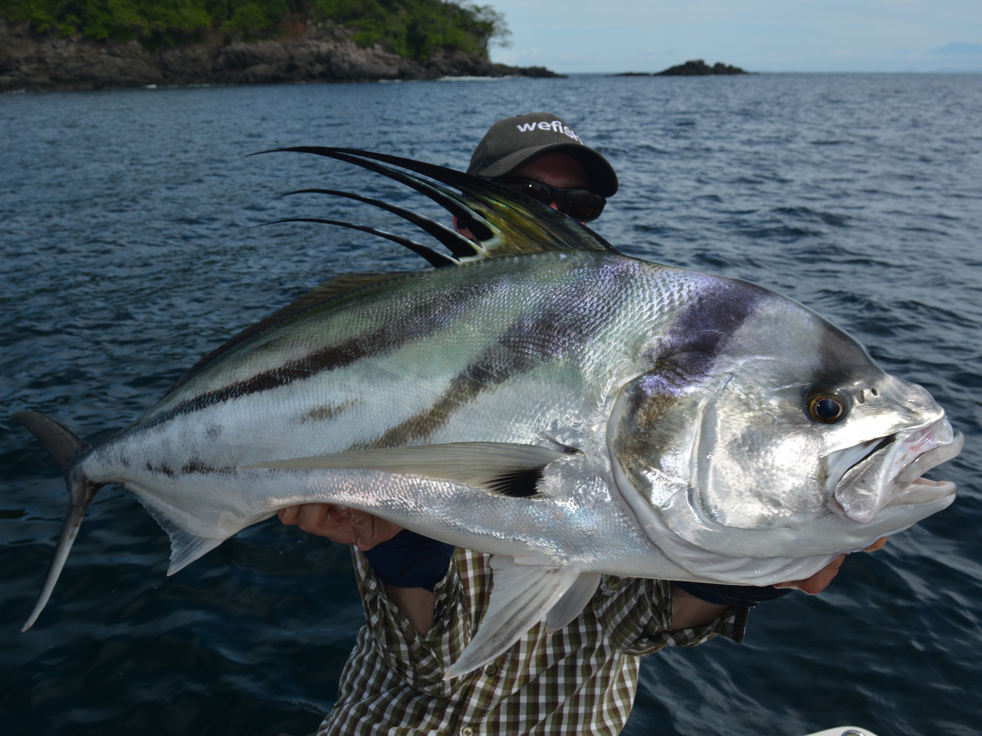 Roosterfish (Nematistius pectoralis), Angeln im Pazifik in Panama