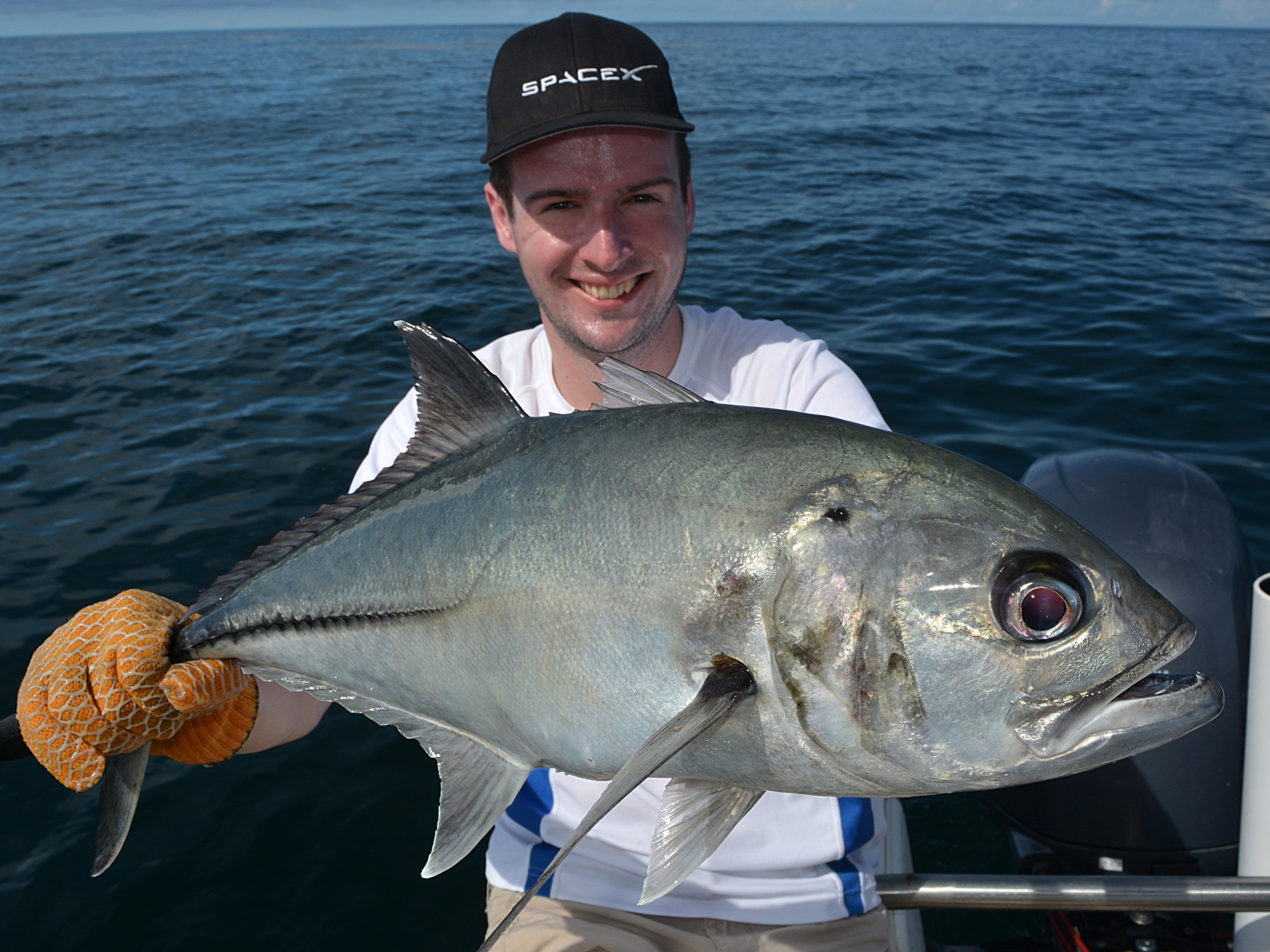 Horse-eye Jack (Caranx latus) beim Angeln in Panama