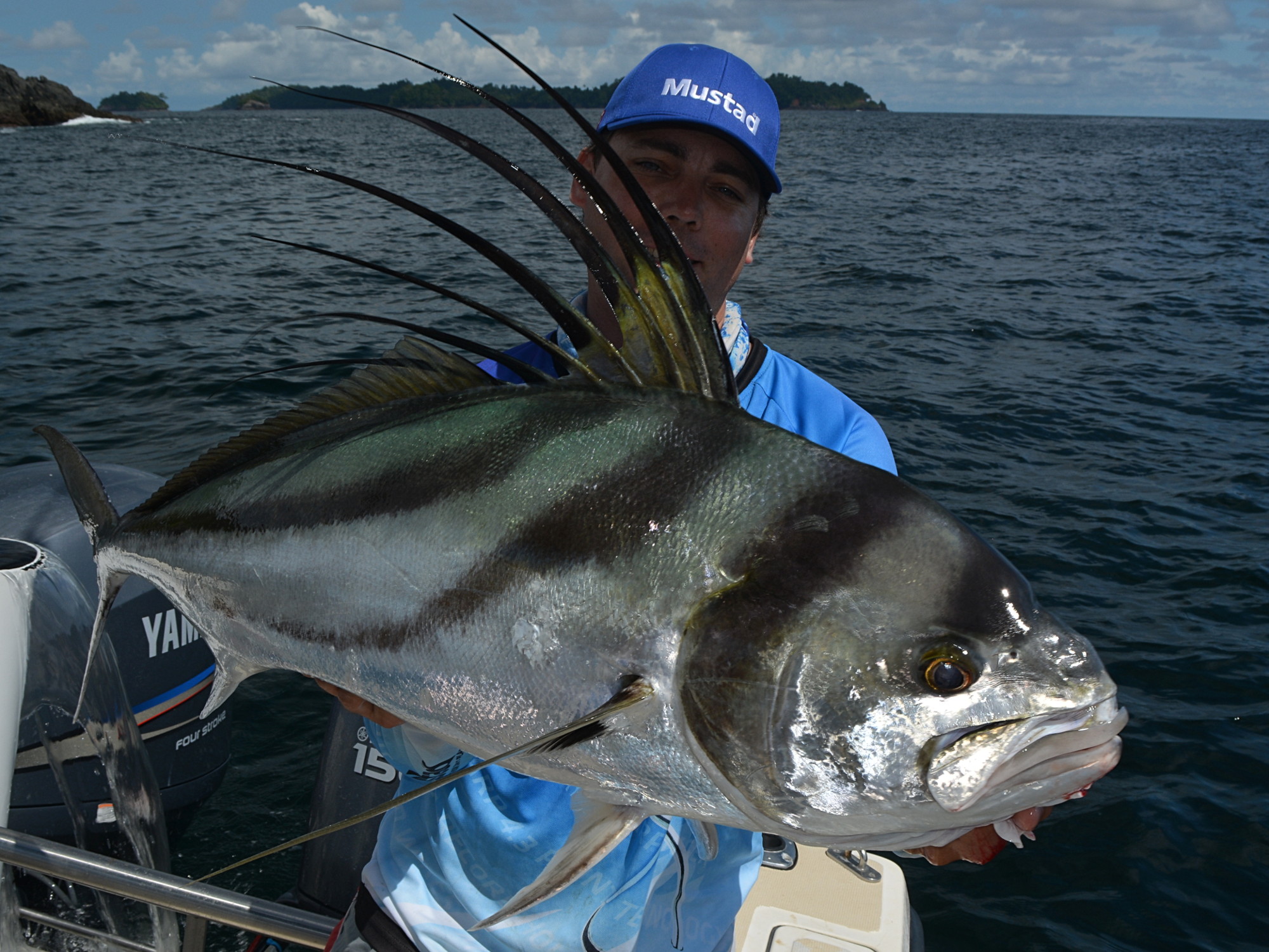 Roosterfish (Nematistius pectoralis) beim Angeln in Panama