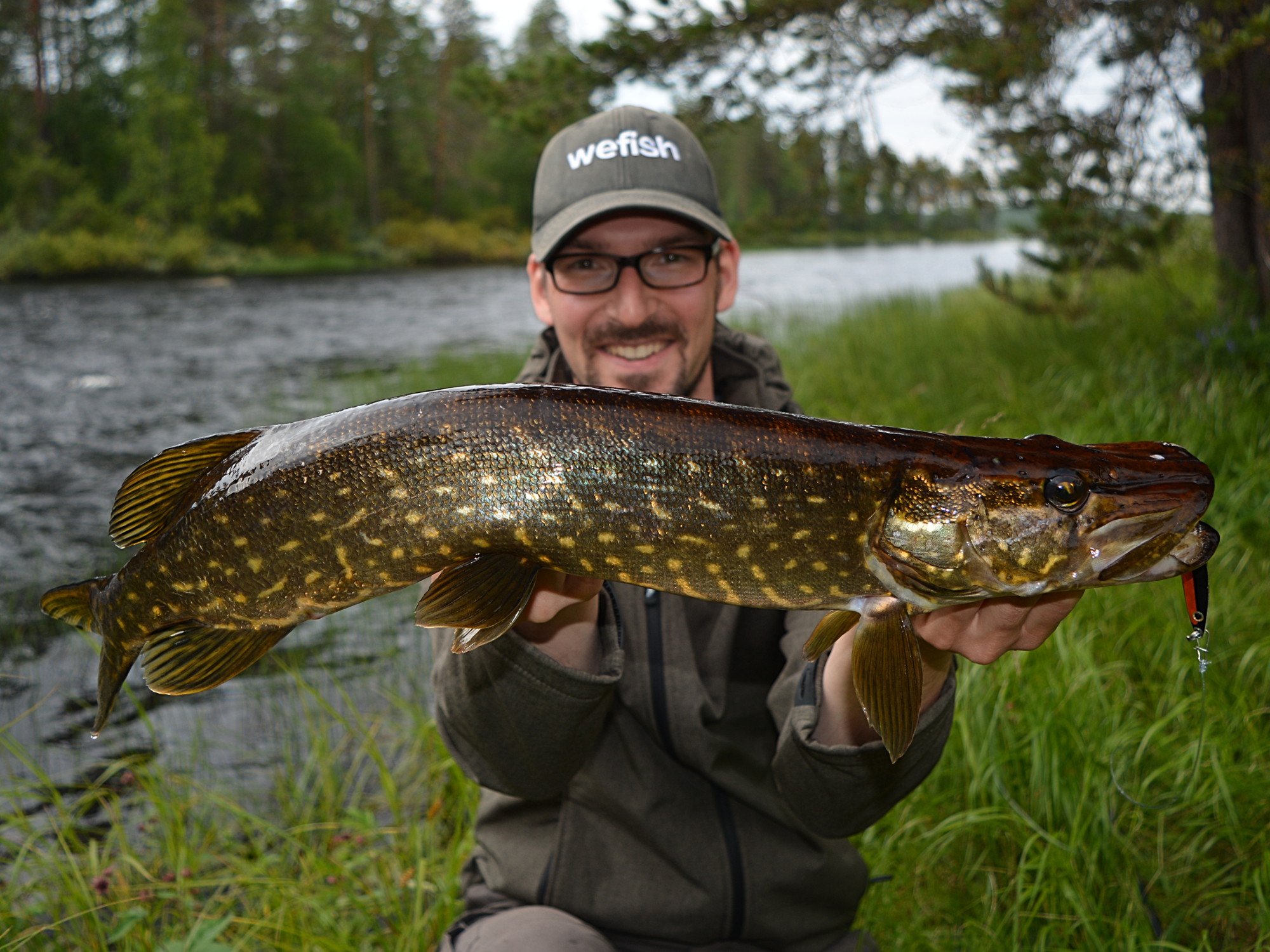 Hecht aus Finnland beim Angeln mit Blinker