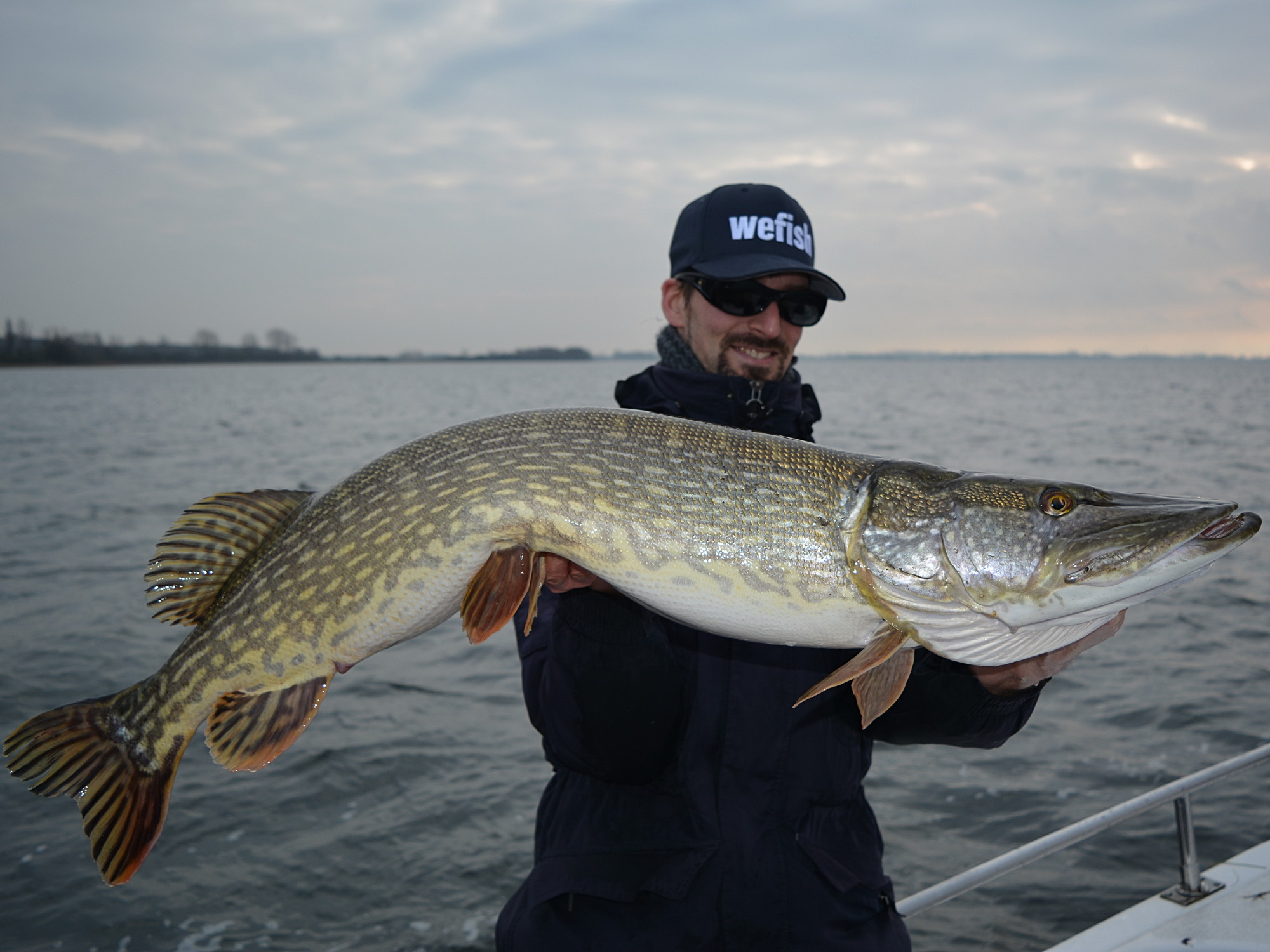 Großhecht im Winter (Esox lucius) beim Angeln