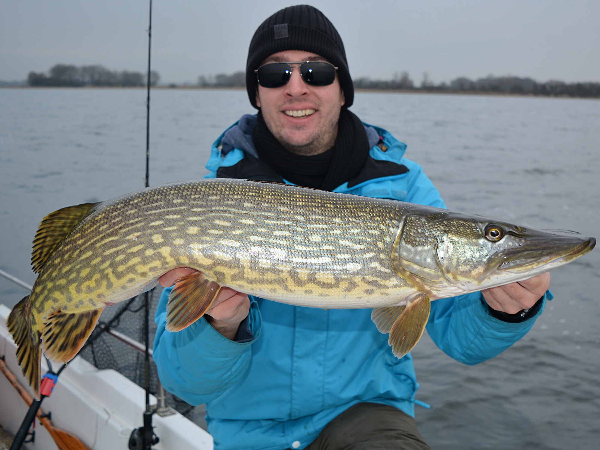 Schöner Hecht (Esox lucius) aus der Ostsee beim Raubfischangeln.