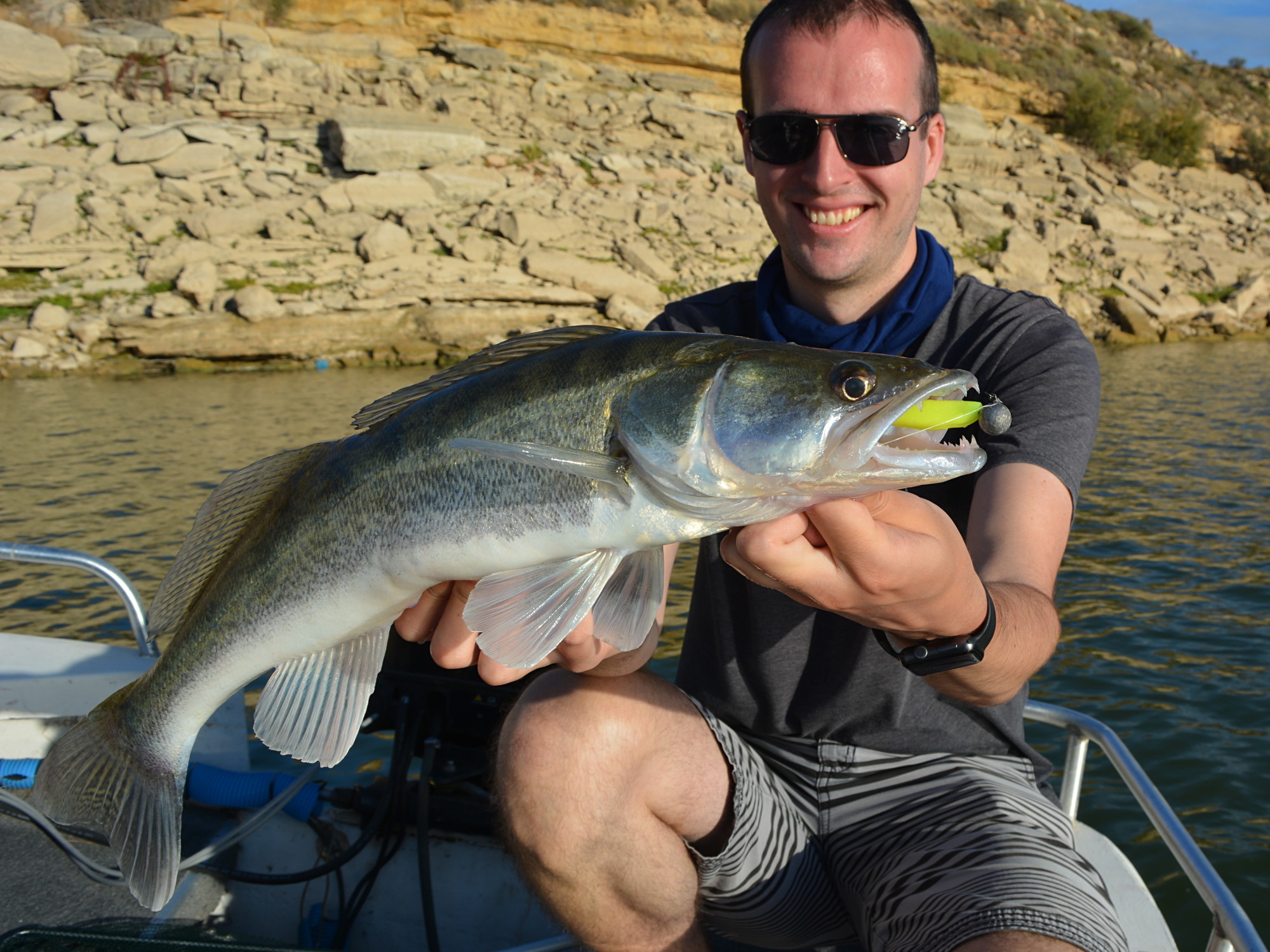 Zander aus dem Embalse de Mequinenza