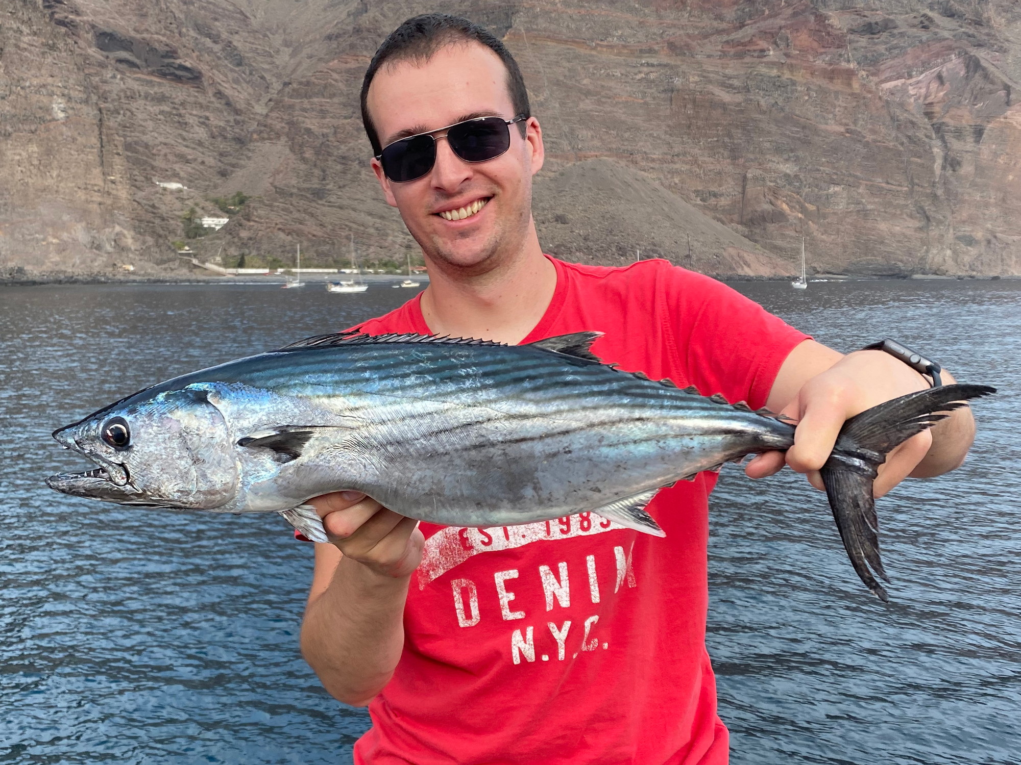 Atlantischer Bonito (Sarda sarda) beim Spinnfischen, Kanarische Inseln