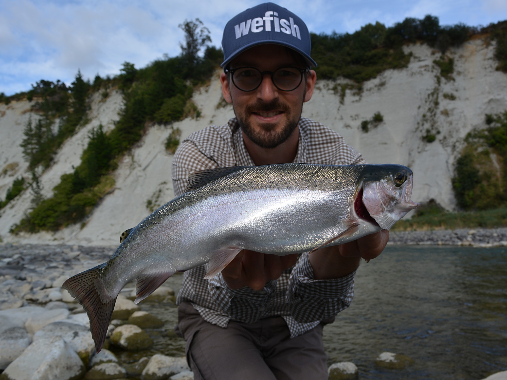 Regenbogenforelle aus Neuseeland, Rangitikei River