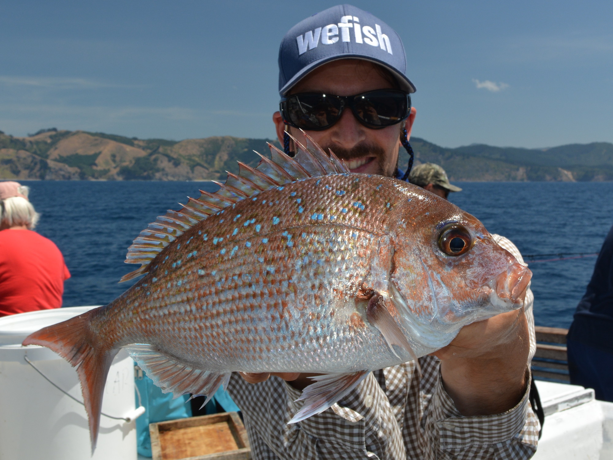 Australasian Snapper (Pagrus auratus) mit Te Ra Charters