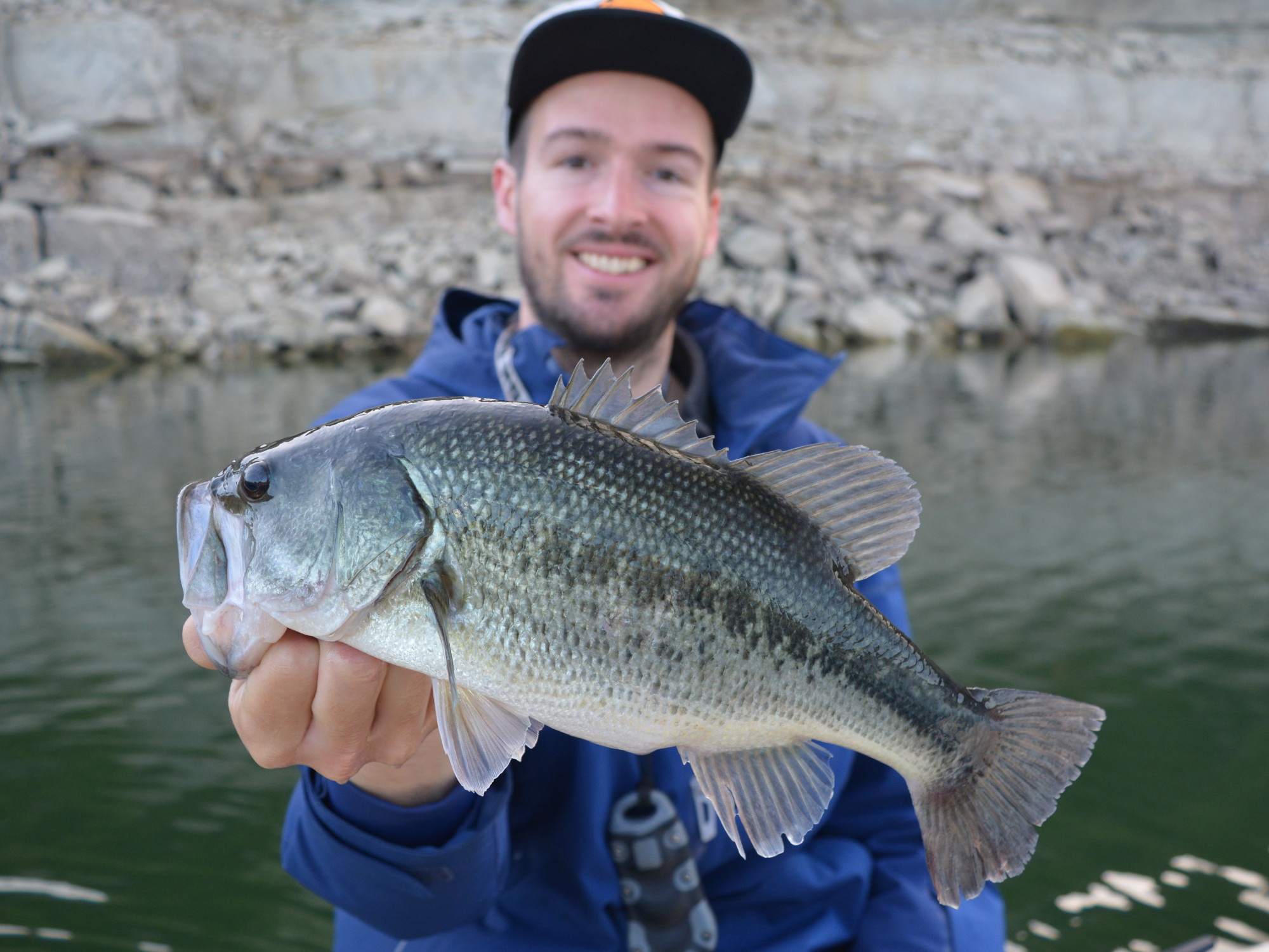 Micropterus salmoides / Schwarzbarsch aus Spanien