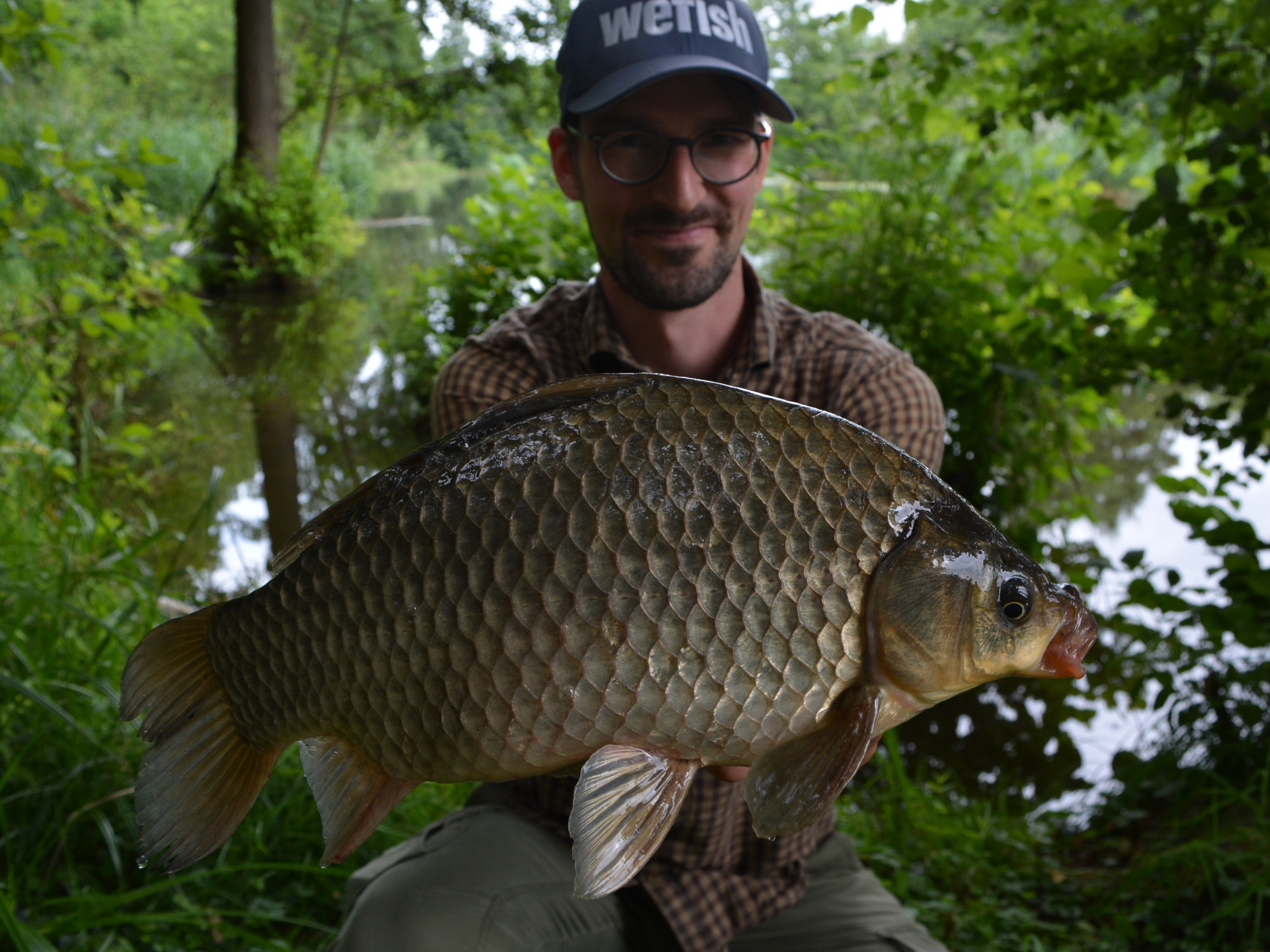 Giebel (Carassius gibelio) beim Grundangeln an der Spree