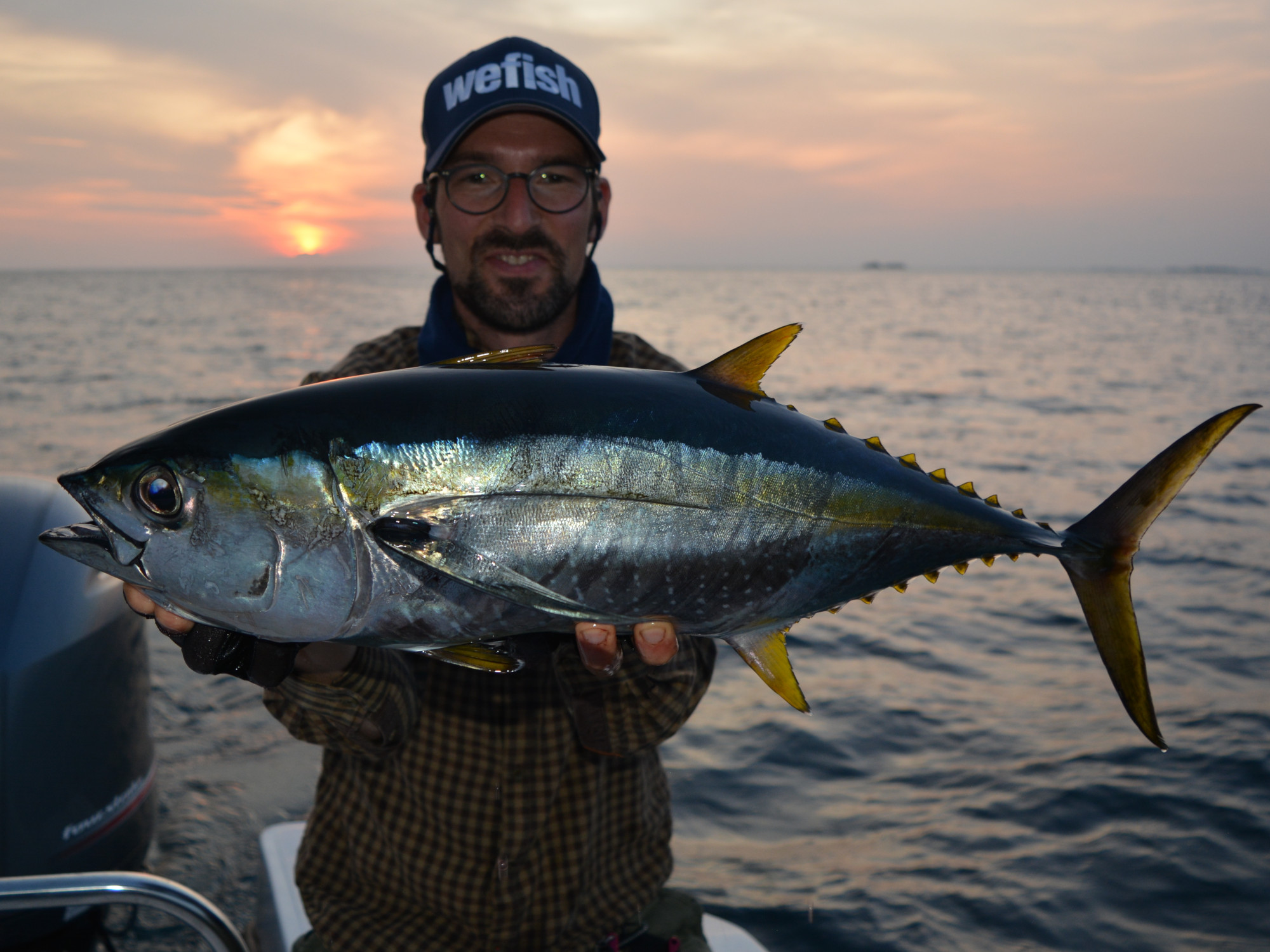 Gelbflossenthunfisch (yellowfin tuna) auf light tackle, Sonnenuntergang