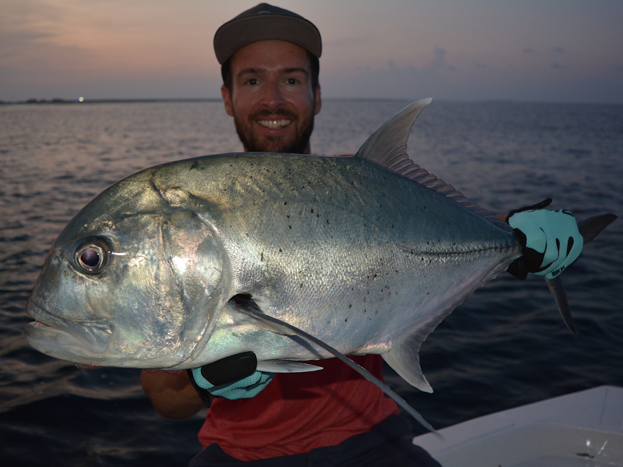 Giant trevally (Caranx ignobilis) beim Angeln im Sonnenuntergang