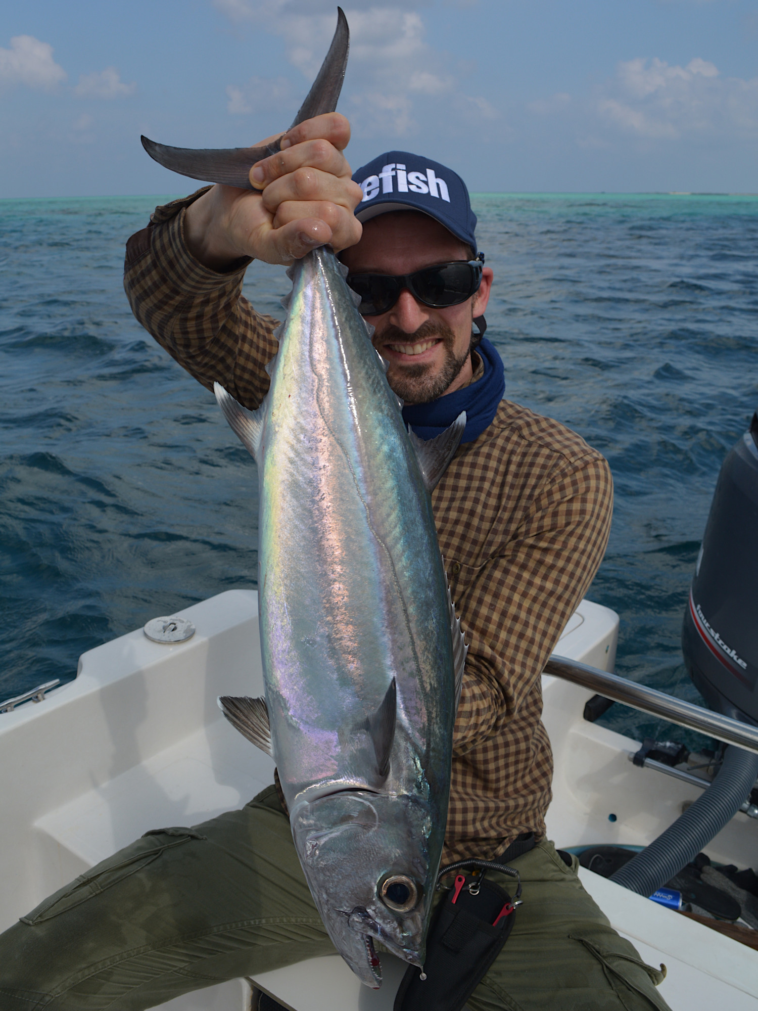 Dogtooth tuna (Gymnosarda unicolor) am Riff - Malediven