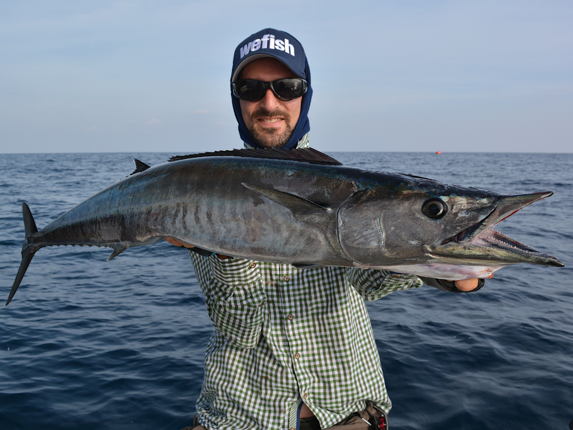 Wahoo (Acanthocybium solandri) offshore auf Jig -  Malediven