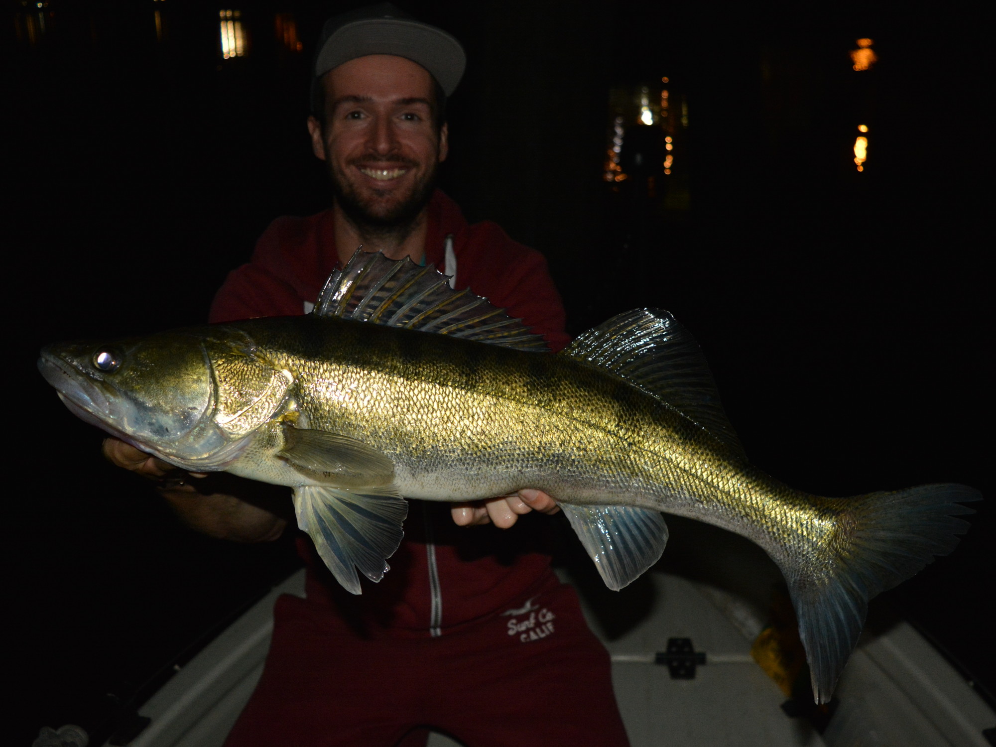 Hamburger Zander bei Nacht