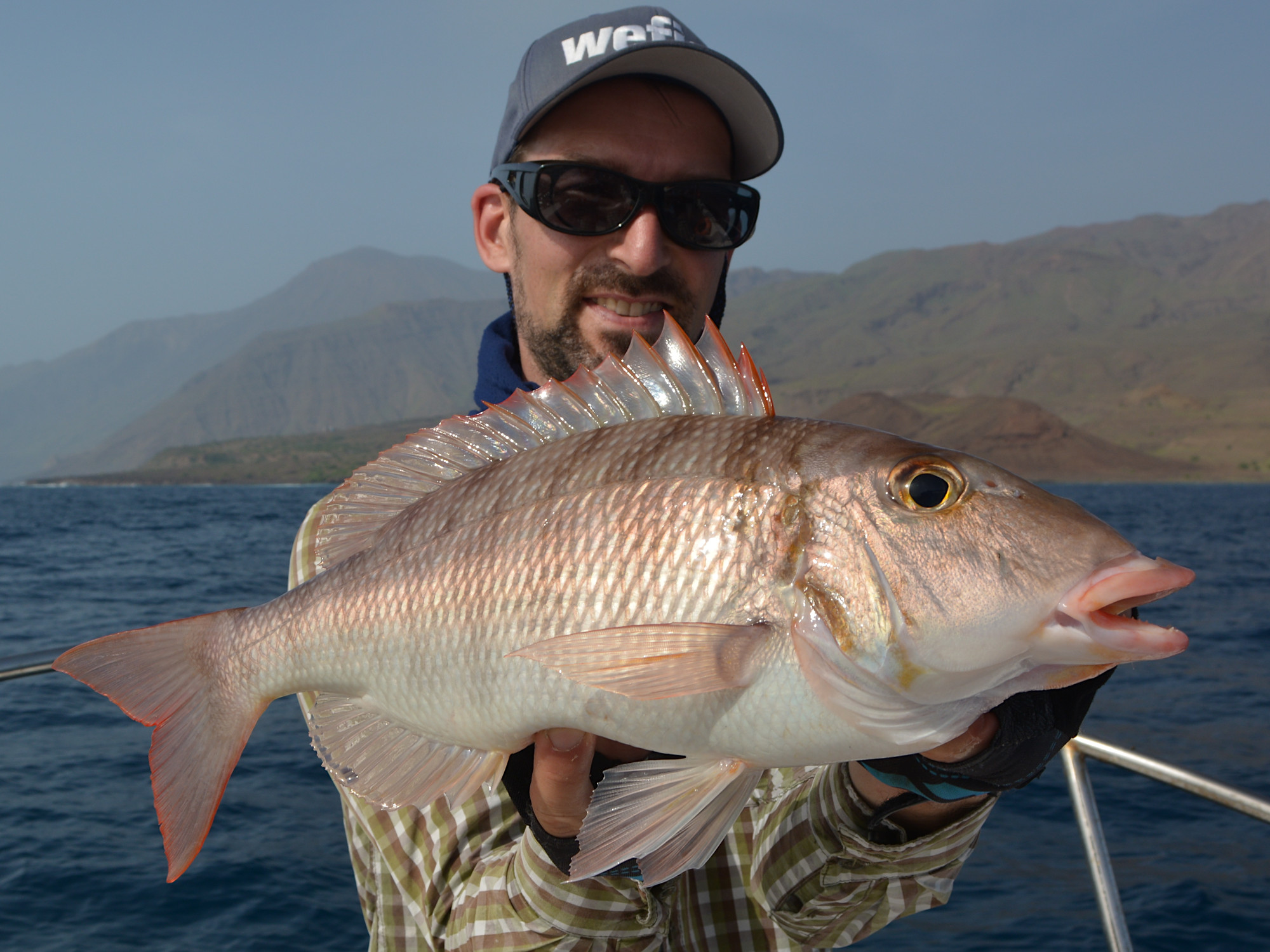 Atlantic Emperor (Lethrinus atlanticus) vor der Küste der Kapverden, Cabo Verde