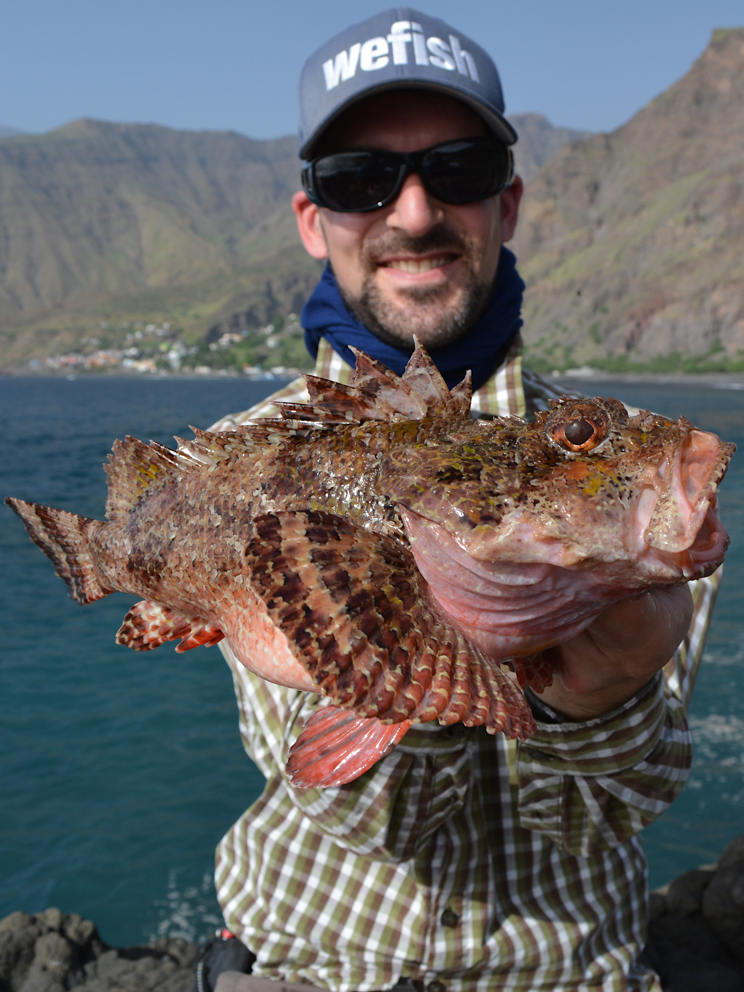 Großer Roter Drachenkopf (Scorpaena scrofa) beim shore jigging, Cabo Verde