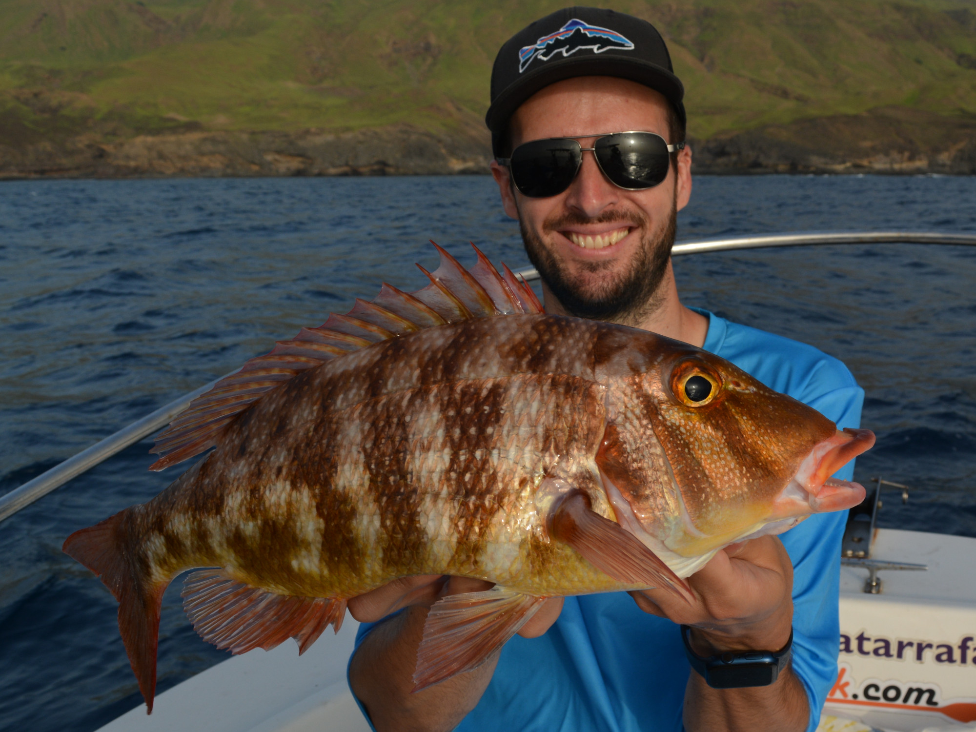 Großkopfschnapper (Atlantic emperor, Lethrinus atlanticus), Kapverden