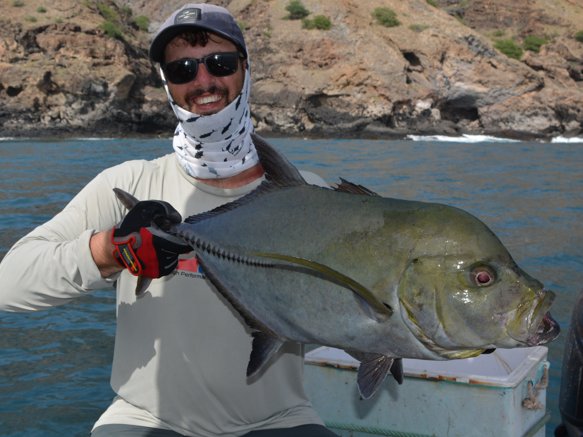 Black jack (Caranx lugubris) auf Jig, Cabo Verde