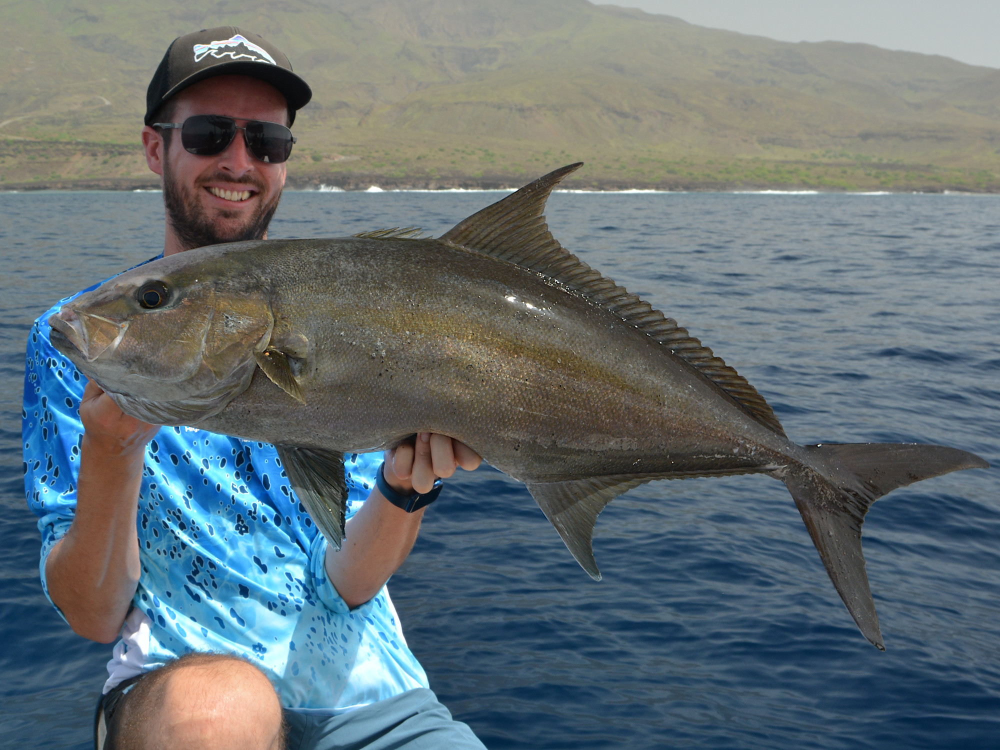 Almaco Jack (Seriola rivoliana), jigging Cabo Verde